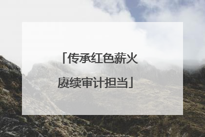 传承红色薪火 赓续审计担当