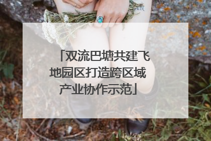 双流巴塘共建飞地园区打造跨区域产业协作示范