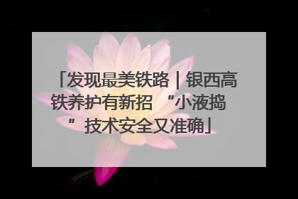 发现最美铁路｜银西高铁养护有新招 “小液捣”技术安全又准确