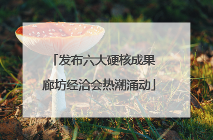 发布六大硬核成果 廊坊经洽会热潮涌动