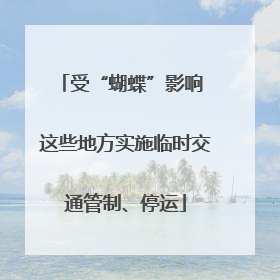 受“蝴蝶”影响 这些地方实施临时交通管制、停运