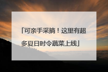 可亲手采摘！这里有超多夏日时令蔬菜上线