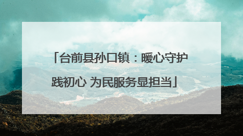 台前县孙口镇：暖心守护践初心 为民服务显担当