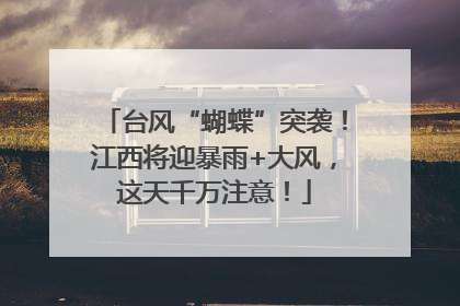 台风“蝴蝶”突袭！江西将迎暴雨+大风，这天千万注意！