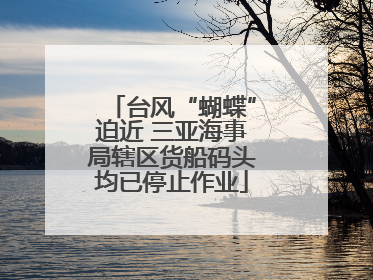 台风“蝴蝶”迫近 三亚海事局辖区货船码头均已停止作业