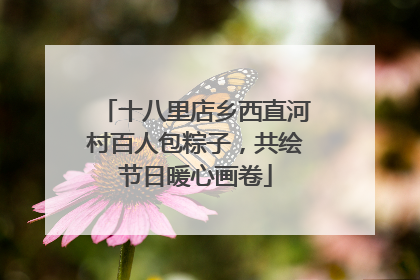 十八里店乡西直河村百人包粽子，共绘节日暖心画卷