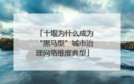 十堰为什么成为“黑马型”城市治理网络维度典型