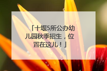 十堰5所公办幼儿园秋季招生，位置在这儿！