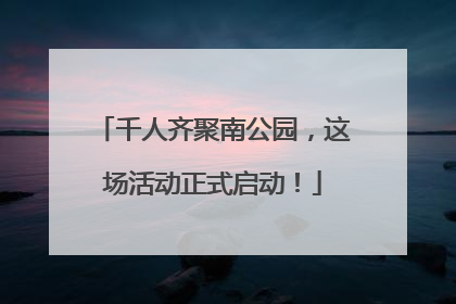 千人齐聚南公园，这场活动正式启动！
