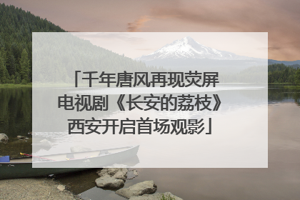 千年唐风再现荧屏 电视剧《长安的荔枝》西安开启首场观影