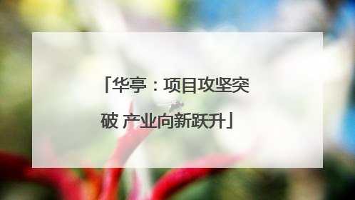 华亭：项目攻坚突破 产业向新跃升