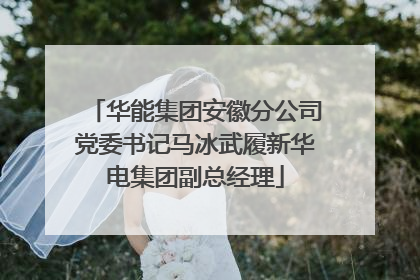华能集团安徽分公司党委书记马冰武履新华电集团副总经理