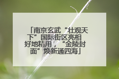 南京玄武“壮观天下”国际街区亮相 好地精用，“金陵封面”焕新通四海