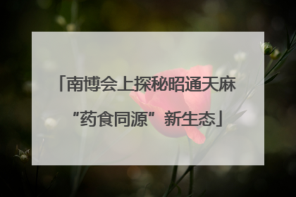 南博会上探秘昭通天麻“药食同源”新生态