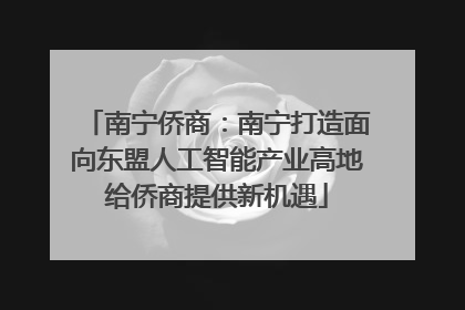 南宁侨商：南宁打造面向东盟人工智能产业高地给侨商提供新机遇