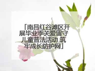 南昌红谷滩区开展毕业季关爱留守儿童普法活动 筑牢成长防护网