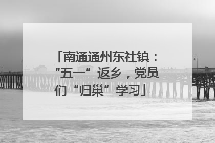 南通通州东社镇：“五一”返乡，党员们“归巢”学习