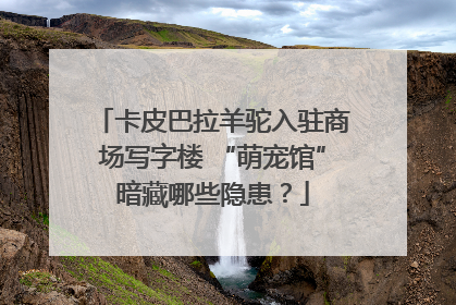 卡皮巴拉羊驼入驻商场写字楼 “萌宠馆”暗藏哪些隐患？
