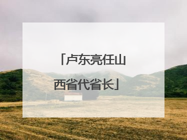 卢东亮任山西省代省长