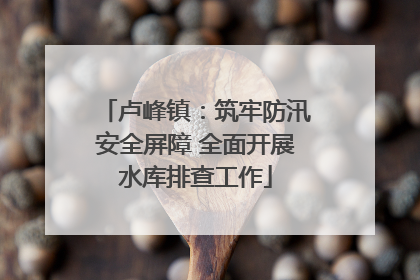 卢峰镇：筑牢防汛安全屏障 全面开展水库排查工作
