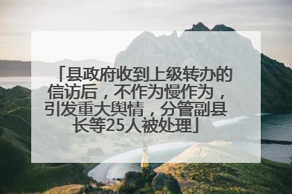 县政府收到上级转办的信访后，不作为慢作为，引发重大舆情，分管副县长等25人被处理