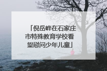 倪岳峰在石家庄市特殊教育学校看望慰问少年儿童