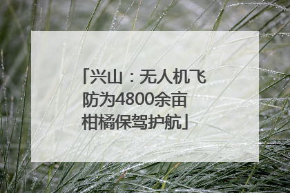 兴山：无人机飞防为4800余亩柑橘保驾护航