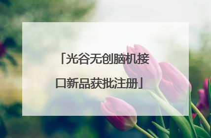 光谷无创脑机接口新品获批注册