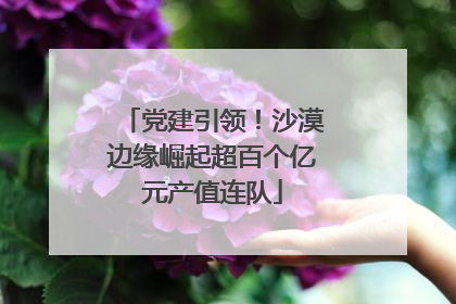 党建引领！沙漠边缘崛起超百个亿元产值连队