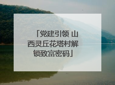 党建引领 山西灵丘花塔村解锁致富密码