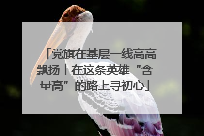 党旗在基层一线高高飘扬丨在这条英雄“含量高”的路上寻初心