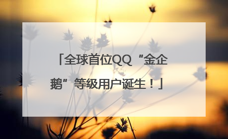 全球首位QQ“金企鹅”等级用户诞生！