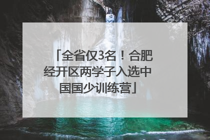 全省仅3名！合肥经开区两学子入选中国国少训练营