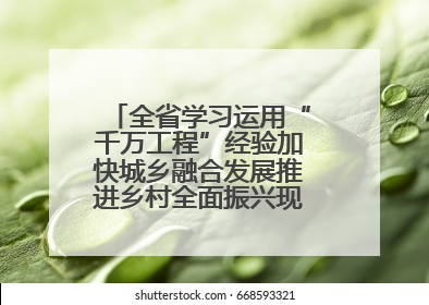 全省学习运用“千万工程”经验加快城乡融合发展推进乡村全面振兴现场会在上杭举行