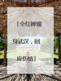 全红婵现身武汉，回应伤情
