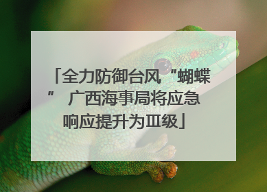 全力防御台风“蝴蝶” 广西海事局将应急响应提升为Ⅲ级