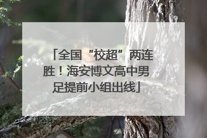 全国“校超”两连胜！海安博文高中男足提前小组出线