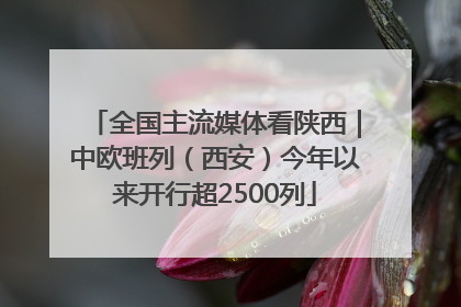全国主流媒体看陕西｜中欧班列（西安）今年以来开行超2500列