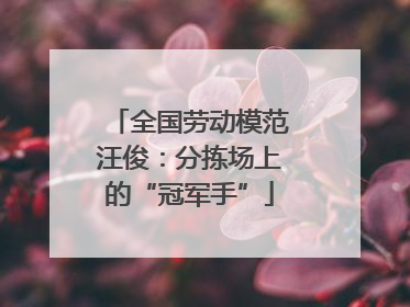 全国劳动模范汪俊：分拣场上的“冠军手”