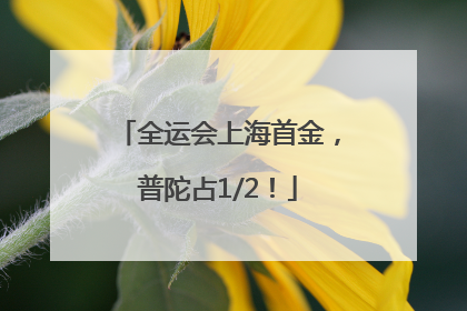 全运会上海首金，普陀占1/2！