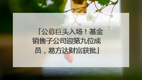 公募巨头入场！基金销售子公司迎第九位成员，易方达财富获批