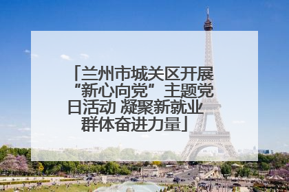 兰州市城关区开展“新心向党”主题党日活动 凝聚新就业群体奋进力量