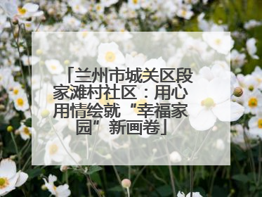 兰州市城关区段家滩村社区：用心用情绘就“幸福家园”新画卷