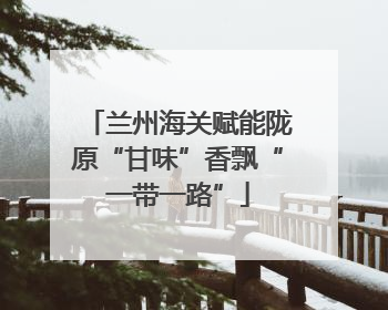 兰州海关赋能陇原“甘味”香飘“一带一路”