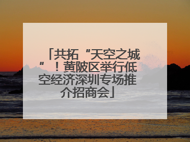 共拓“天空之城”！黄陂区举行低空经济深圳专场推介招商会
