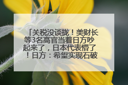 关税没谈拢！美财长等3名高官当着日方吵起来了，日本代表懵了！日方：希望实现石破茂与特朗普的会晤