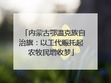 内蒙古鄂温克族自治旗：以工代赈托起农牧民增收梦