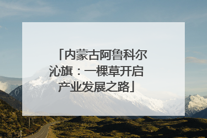 内蒙古阿鲁科尔沁旗：一棵草开启产业发展之路
