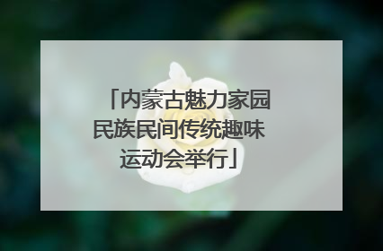 内蒙古魅力家园民族民间传统趣味运动会举行