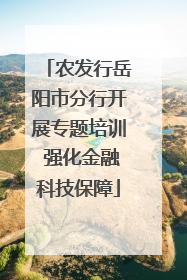 农发行岳阳市分行开展专题培训 强化金融科技保障